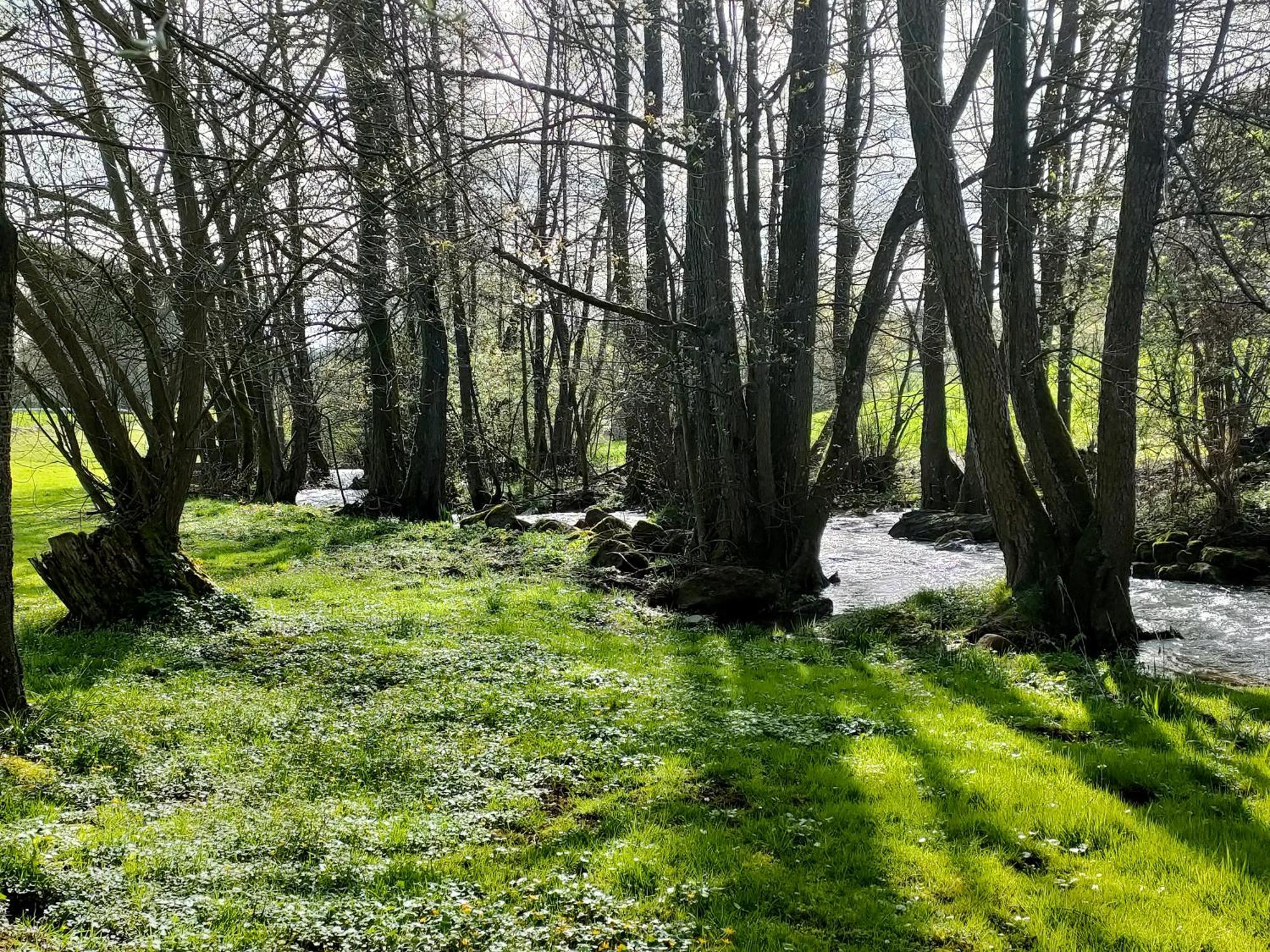 Wind In Den Weiden, Uebernachten Am Bachlauf Birstein 外观 照片
