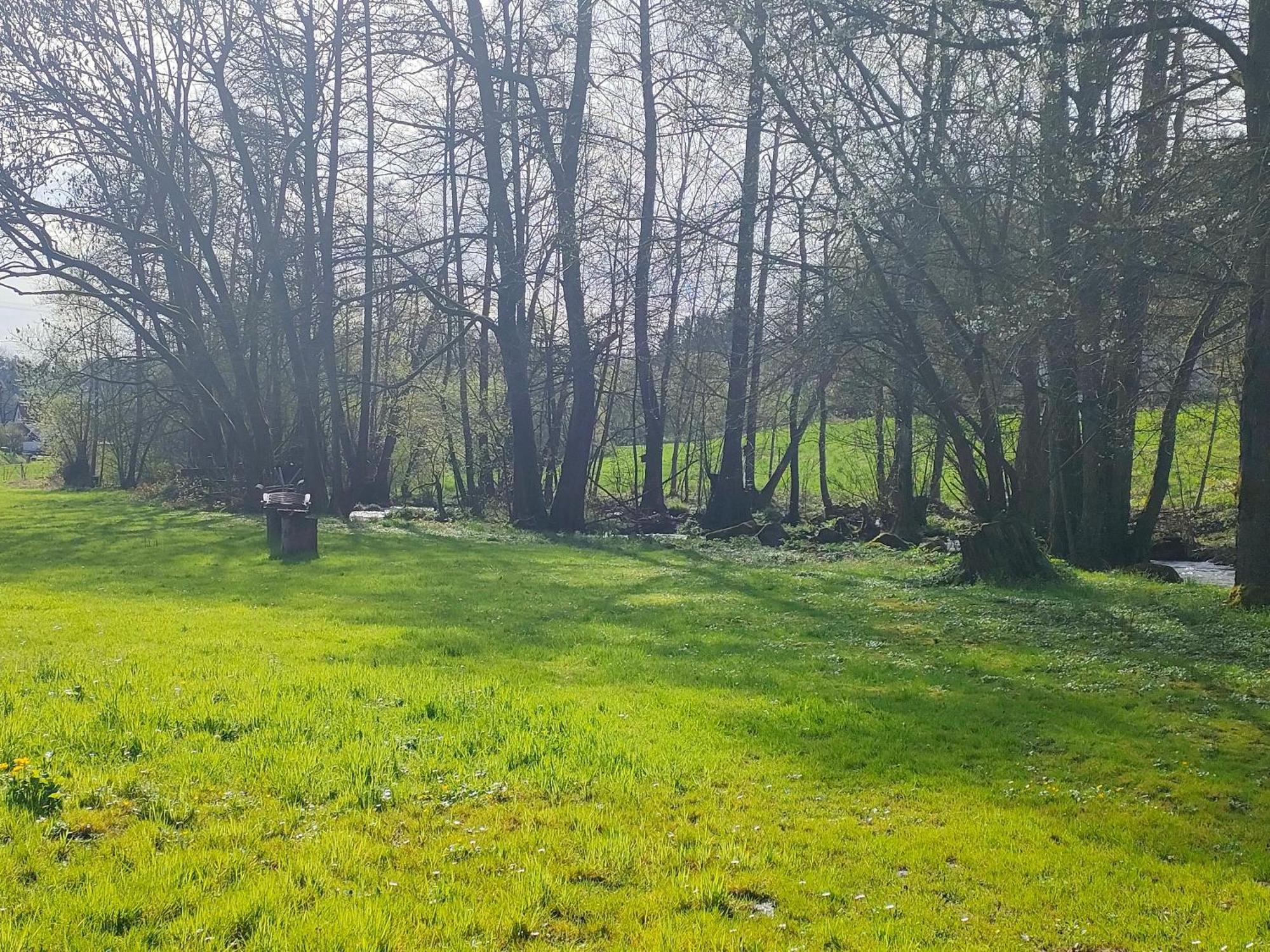 Wind In Den Weiden, Uebernachten Am Bachlauf Birstein 外观 照片