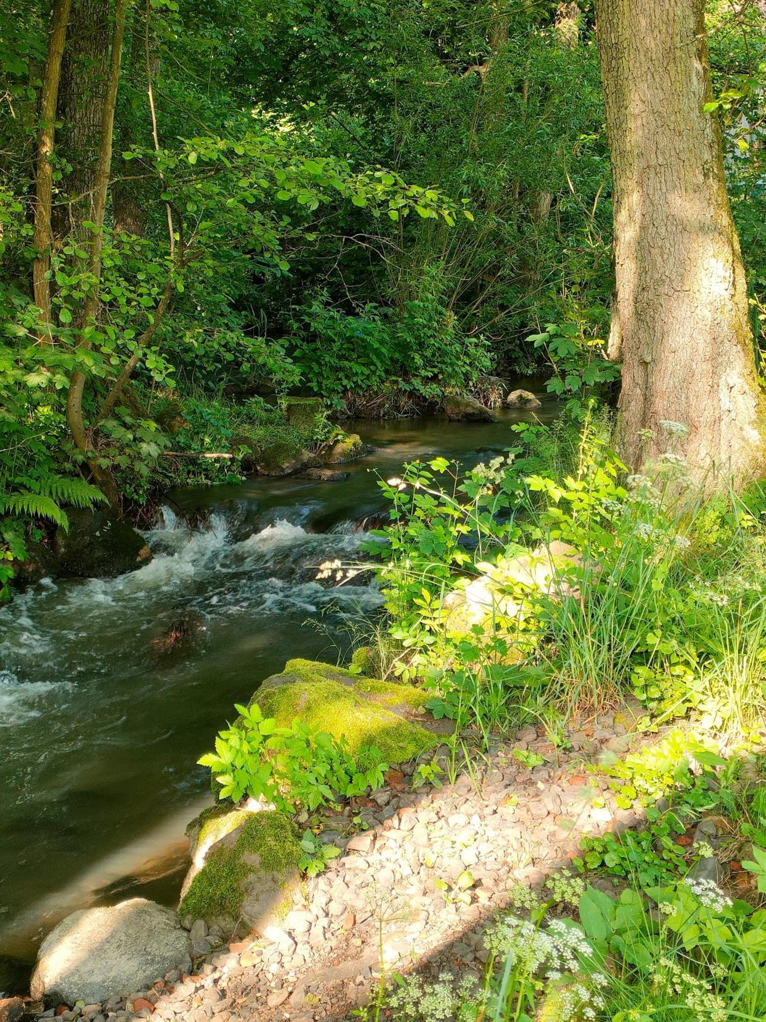 Wind In Den Weiden, Uebernachten Am Bachlauf Birstein 外观 照片
